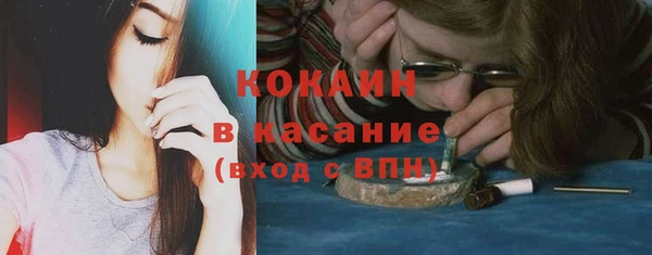 стаф Алзамай