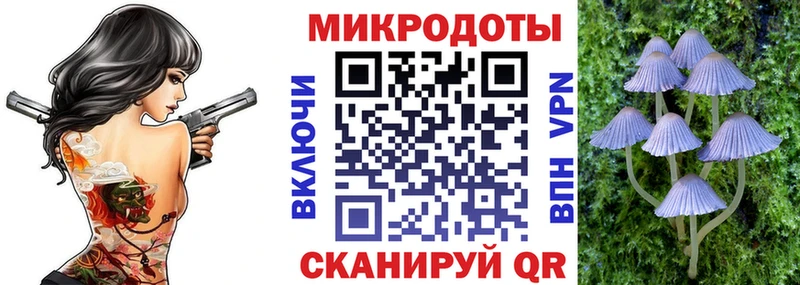 Галлюциногенные грибы Psilocybine cubensis где продают наркотики Нестеровская