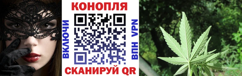 Бошки марихуана планчик  купить   Нестеровская 